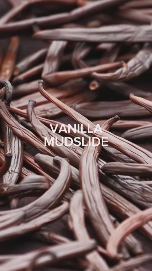 VANNILA MUDSLIDE - 100ML - BLNDRGRPHY - Image 3