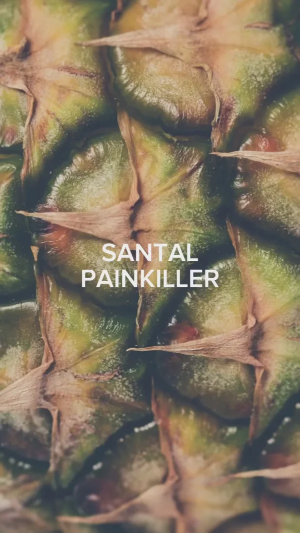 SANTAL PAINKILLER- 100ML - BLNDRGRPHY - Image 2