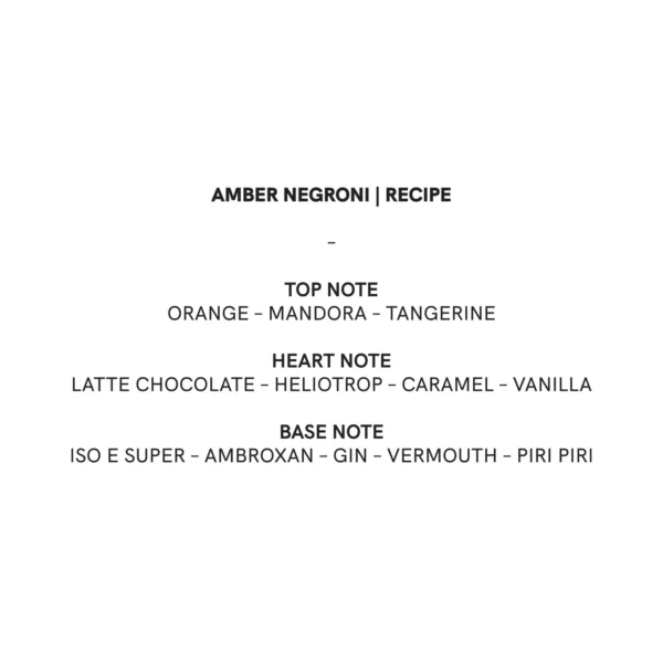 AMBER NEGRONI -100 ML - BLNDRGRPHY - Image 2